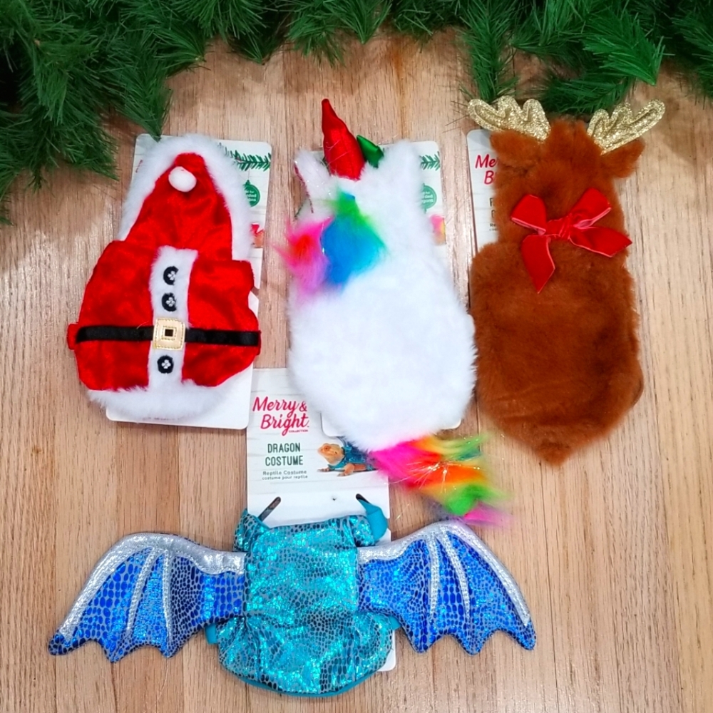 Bearded dragon Chistmas costume set